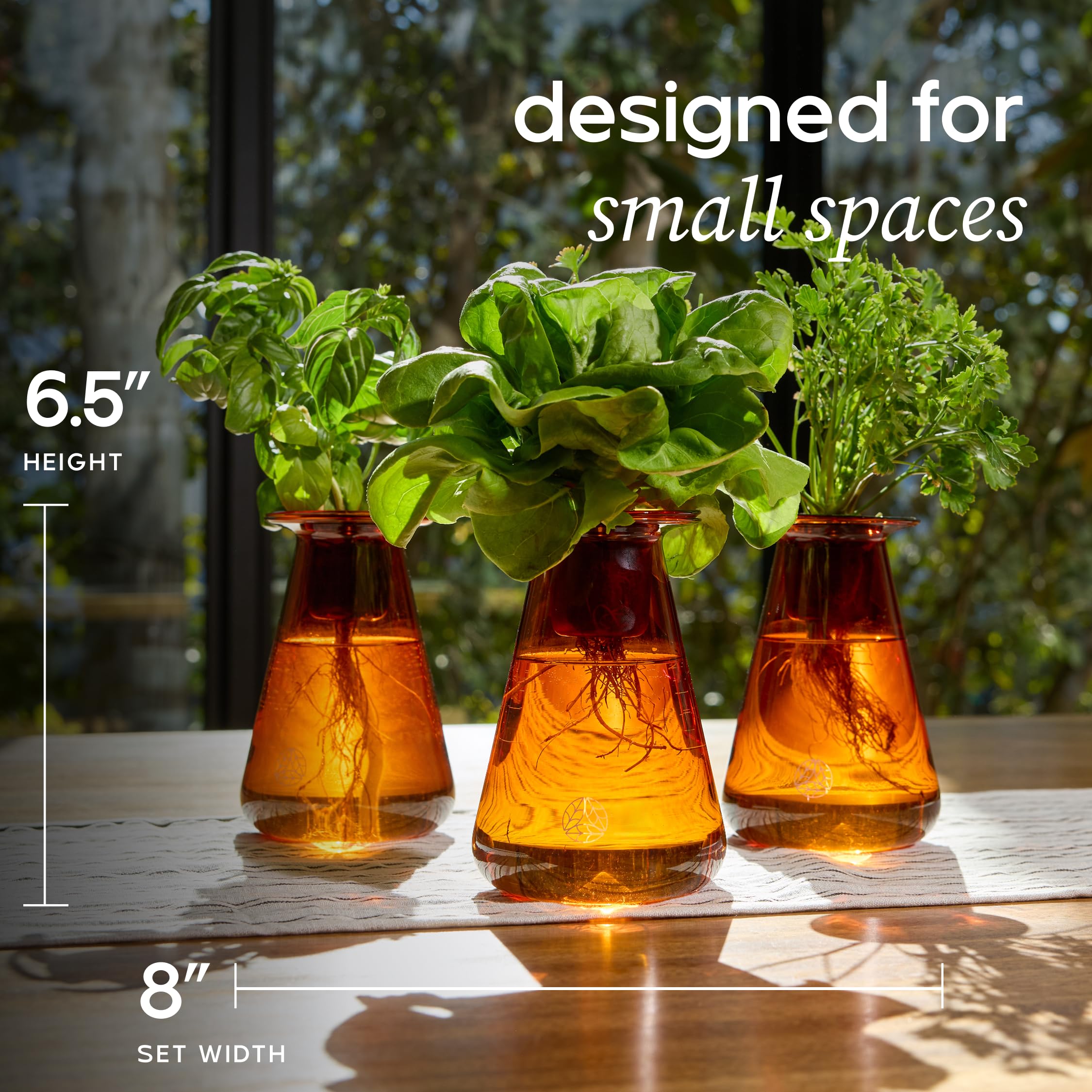Lettuce Grow Gegenständer-Set – Vase Pflanze für den Innenbereich, essbares Garten-Set für Kräuter & Salat – Hydrokultursystem mit kleinem Raum – Heimdekoration & Geschenk – keine Glimmlampe