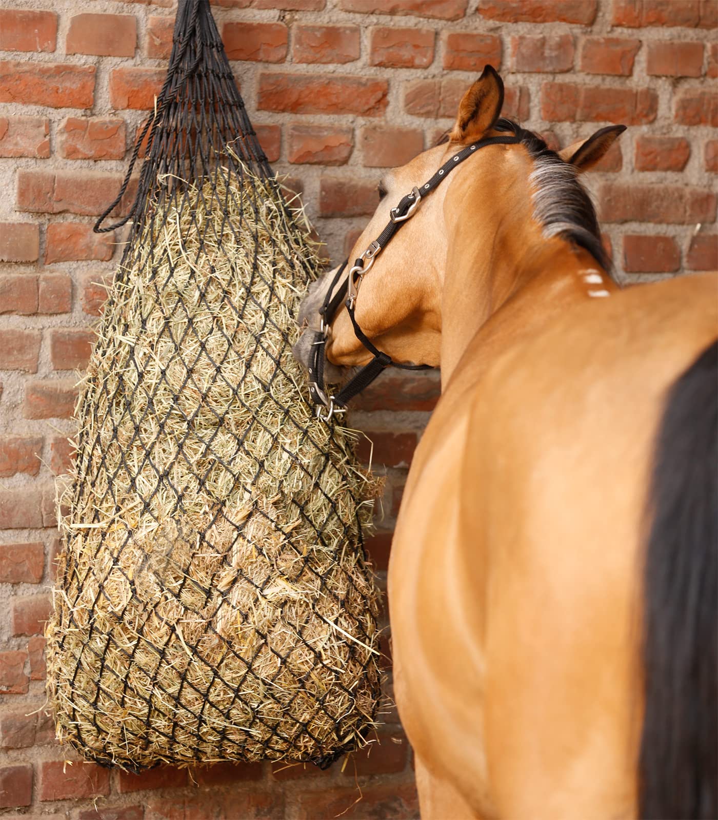 Grand Filet à Foin Pour Chevaux – Mailles Larges – Noir – Occasion