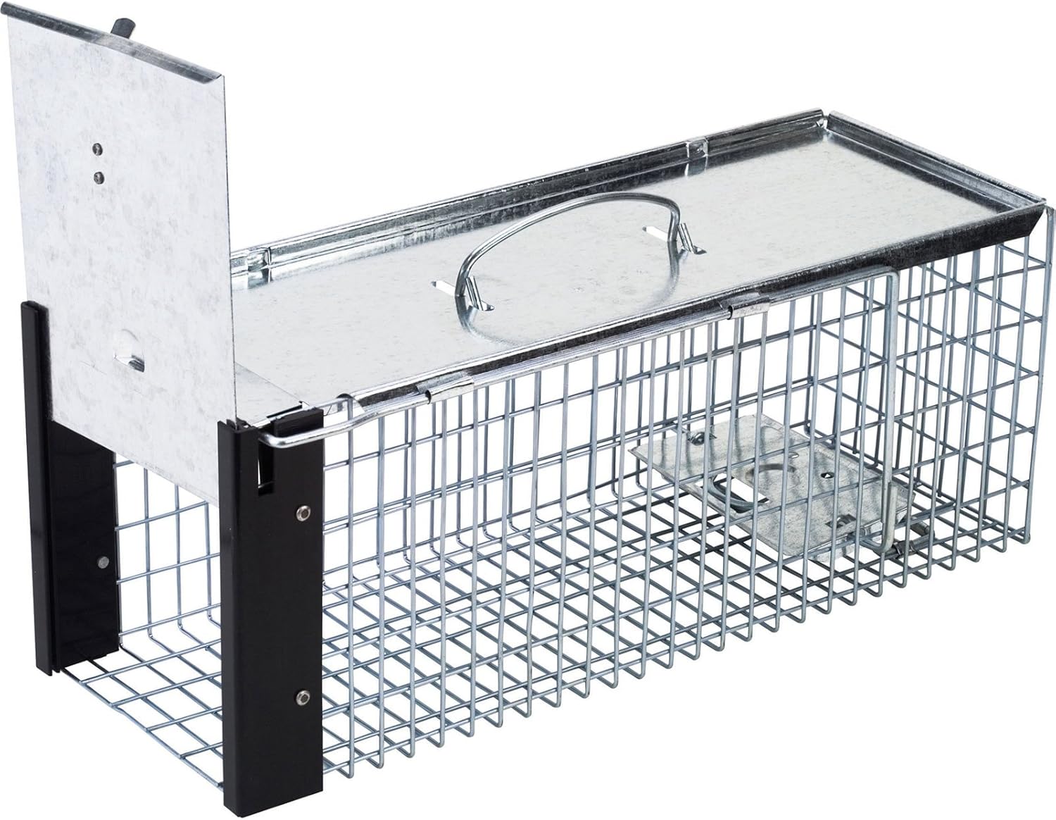 Stv Rat Cage Trap Amazon.co.uk Garden