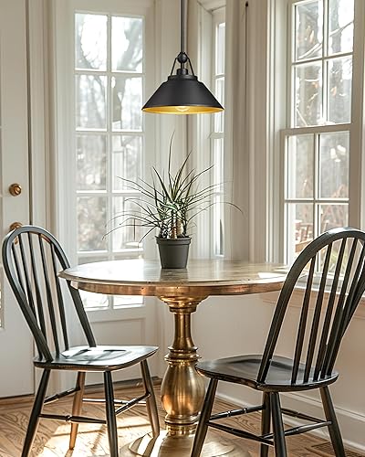 Miniatura 6 de HWH - Lámpara colgante de granero, 1 luz colgante de 12 pulgadas, luces colgantes industriales para isla de cocina, granja, comedor, acabado negro y