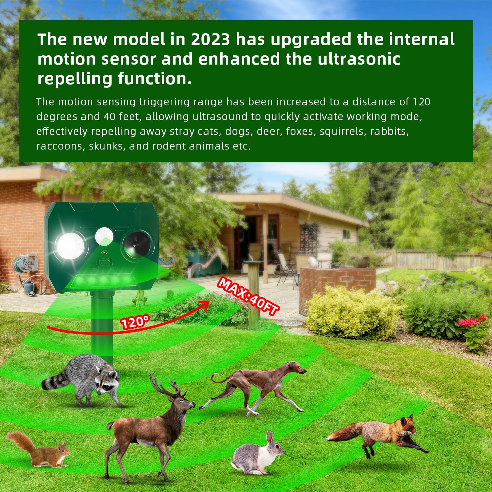 https://m.media-amazon.com/images/I/81eqZs348LL.jpg