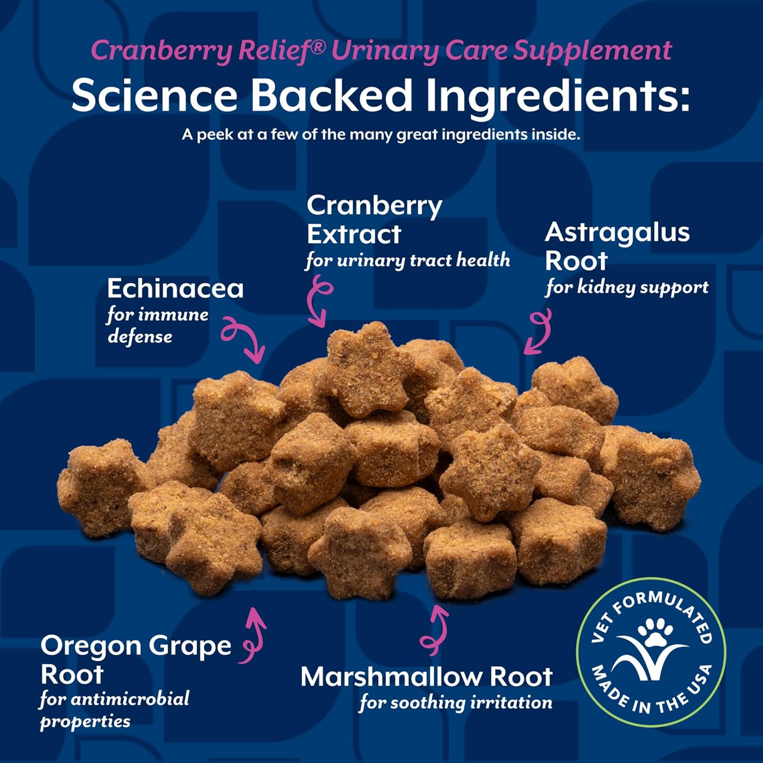 NaturVet Cranberry Relief Plus Echinacea for Cats, 60 ct Soft Chews, Made in The USA with Globally Source Ingredients