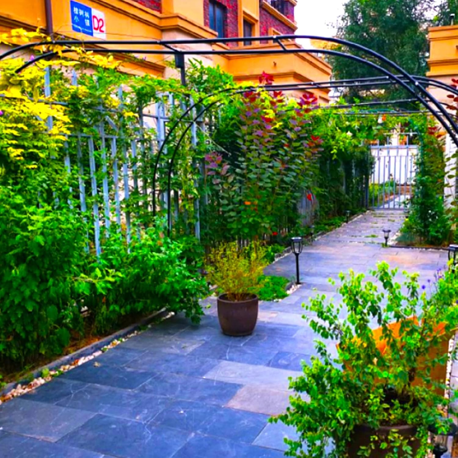 Metal Arch Heavy Duty ,Rose Arch ,Stable galvanized pipe is suitable for all kinds of plant climbing, indoor and outdoor decoration, wedding festival party background ( Color : Black , Size : 80x200x2