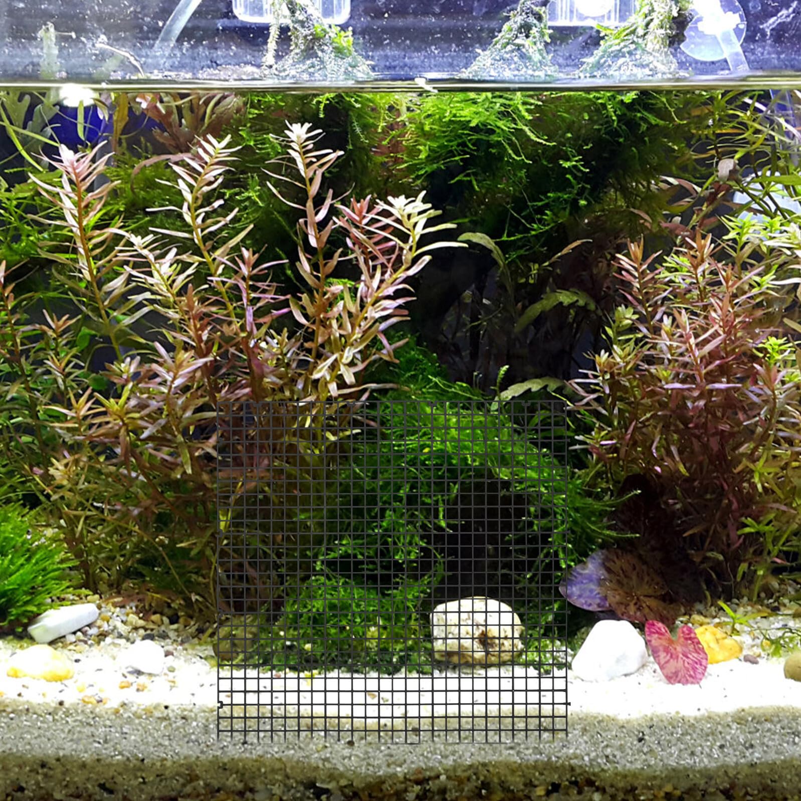 Alasum Aquarien Trennwand Bodenfilterplatte 8 Stück-Pack Kunststoff Schwarz