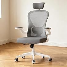 Monhey Office Chair, Desk Chair with Adjustable Lumbar Support & Headrest