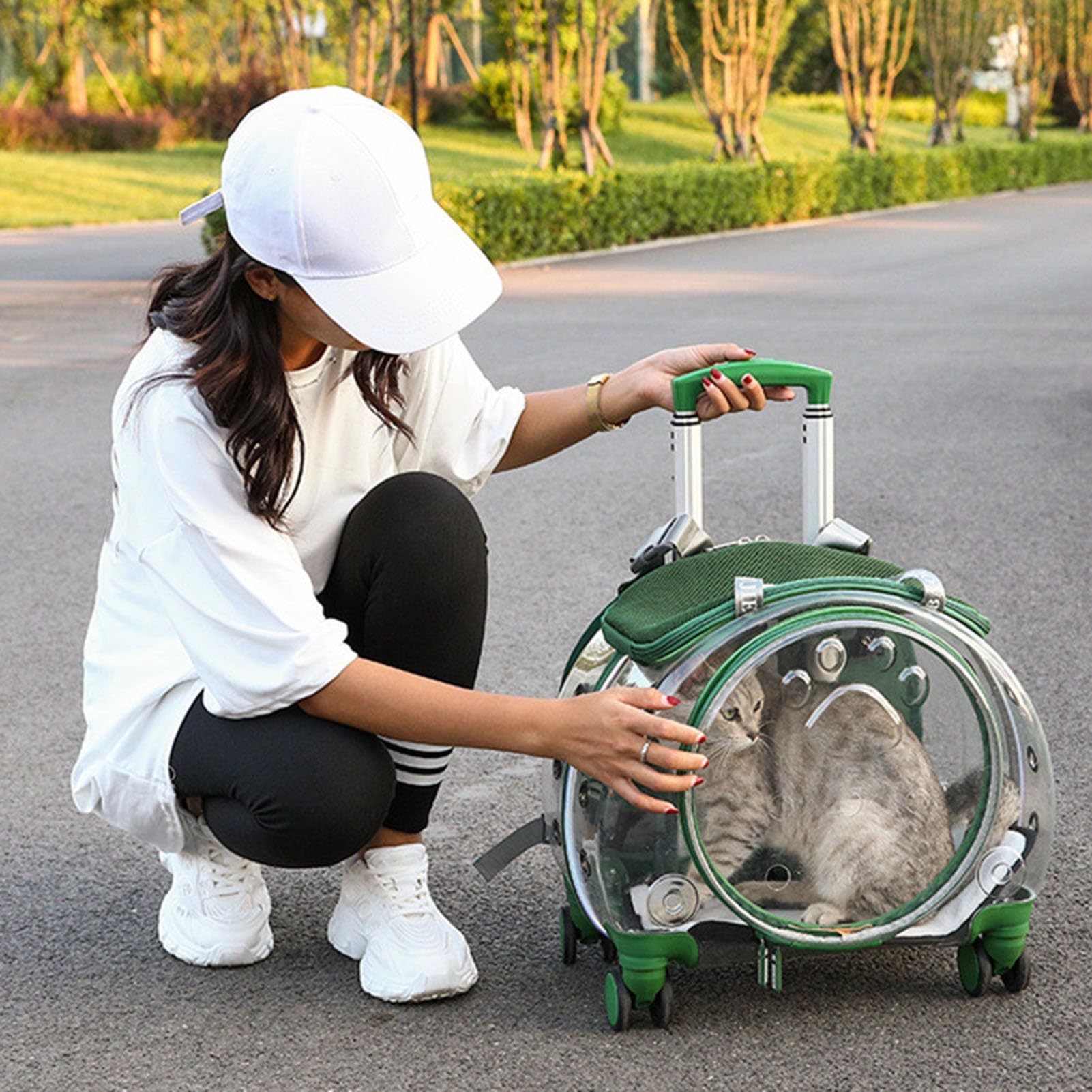 Mochila transportadora transparente para mascotas con ruedas de carrito, perros, gatos, loros, conejitos en tamaño pequeño, ideal para viajes, paseos color negro