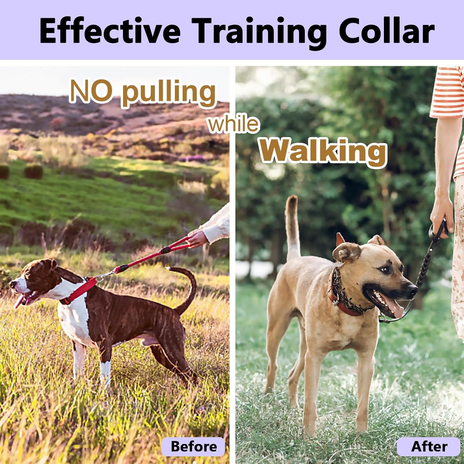 Adjustable Training Collars Anti Pull Dog Collar for Large Dogs 304 Stainless Steels Dog Collar with Quick Release Buckle and Comfort Rubber Tips(Black,XL-28inch)