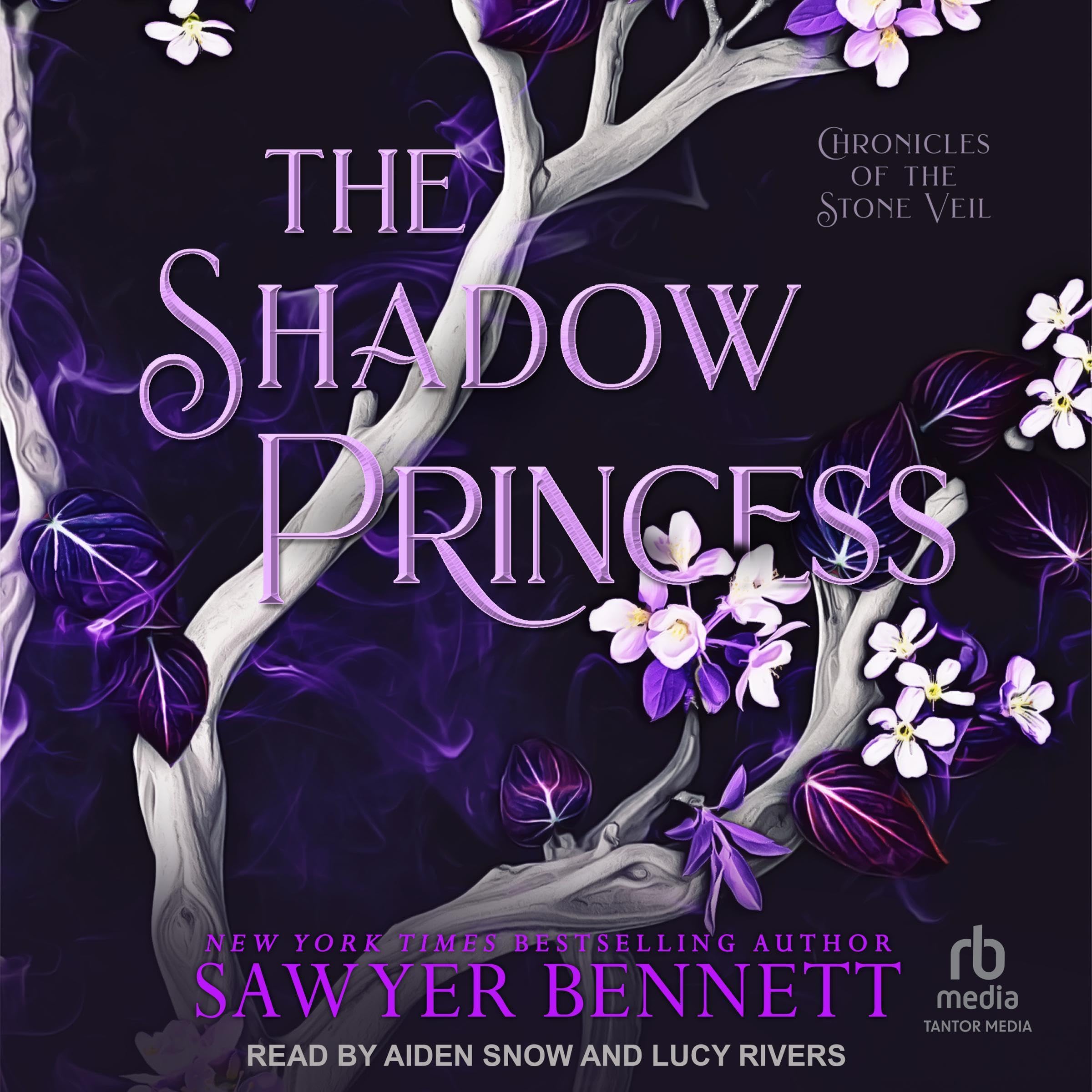 Cover art for The Shadow Princess