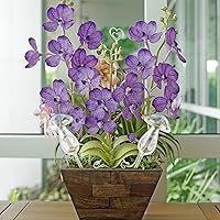 Vista 5 de meekoo 10 globos de riego de plantas de vidrio para riego automático al aire libre, dispositivo de inserción de maceta con degradado de arco iris