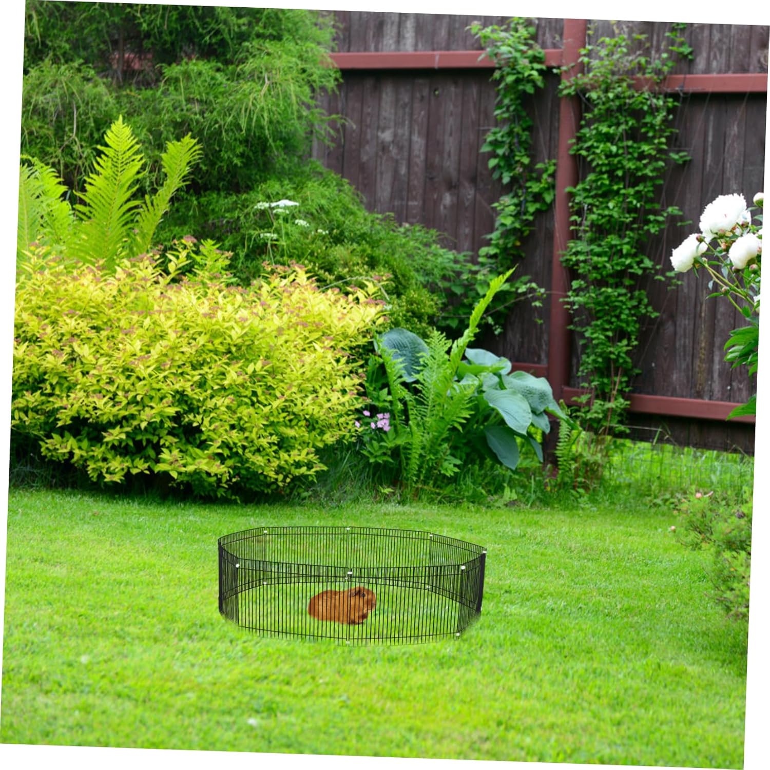 8pcs Portable Metal Pet Playpen for Small Animals and Lightweight Exercise Fence for Hamsters Puppies and Other Pets Indoor and Outdoor Use Easy to Store