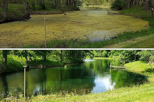 Miniatura 8 de Crystal Blue alguicida de sulfato de cobre granular para control de algas en estanques, 5lbs