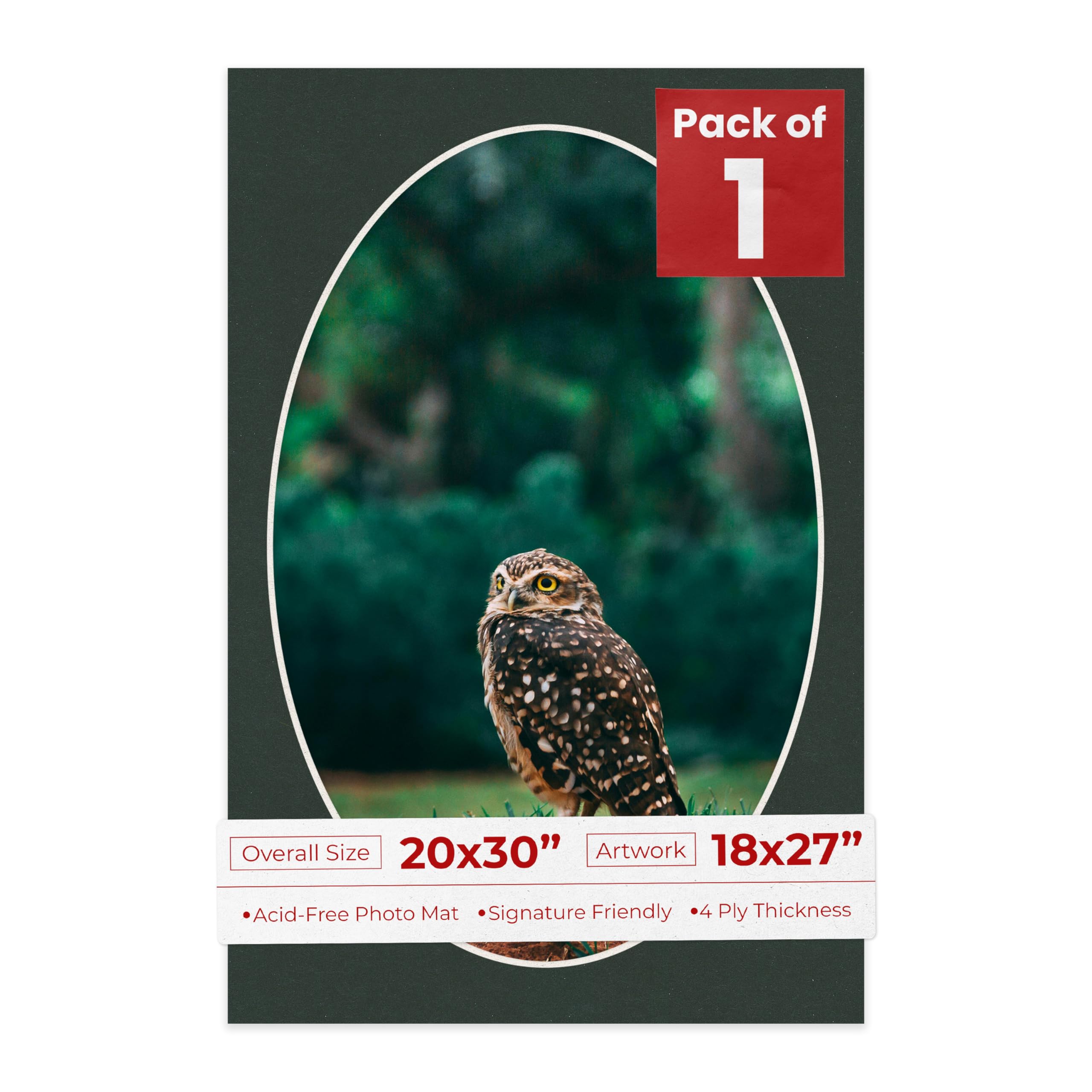 20x30 Mat Bevel Cut for 18x27 Photos - Precut Black Oval Shaped Photo Mat Board Opening - Acid Free Matte to Protect Your Pictures - Bevel Cut for Family Photos, Pack of 1 Matboard Show Kit With Acid-image-35