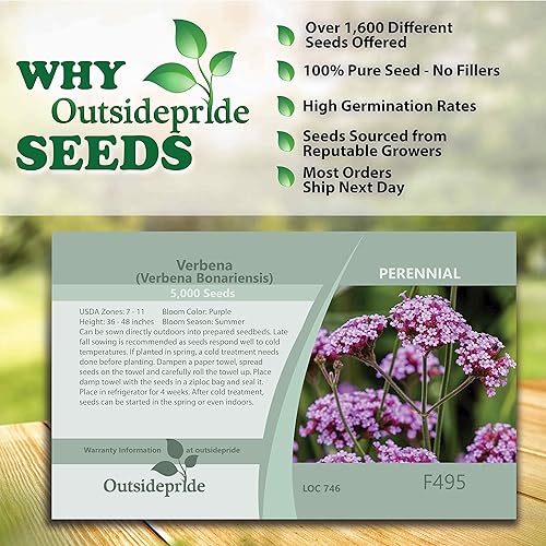 Miniatura 5 de Outsidepride Verbena Verbena - Flores de jardín atractivas para abejas mariposas y pájaros cantores 5000 semillas