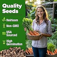 Vista 152 de HOME GROWN Semillas de diente de león para plantar 600 semillas de hierbas medicinales tradicionales (~ 0.01 oz) sin OMG cultivan hojas y flores