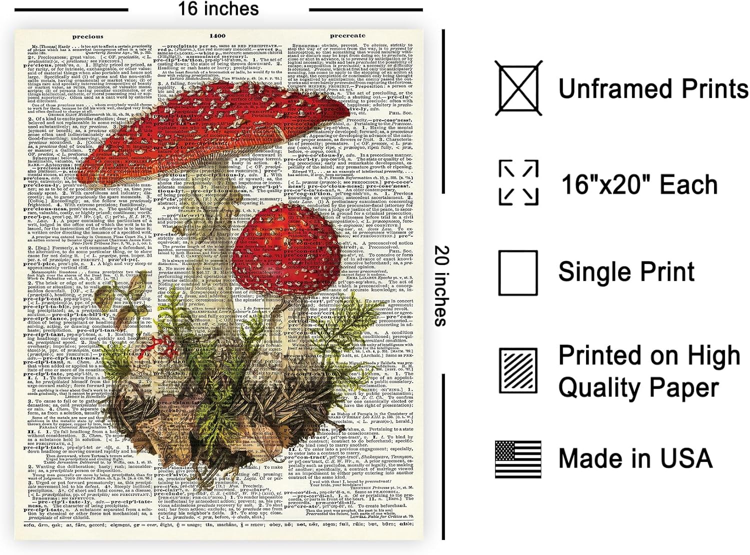 Poster Master Dictionary Art Poster - Retro Fly Agaric Mushroom Print - Botanical Mushroom Art - Gift for Men & Women - Chic Decor for Farmhouse, Kitchen or Living Room - 16x20 UNFRAMED Wall Art