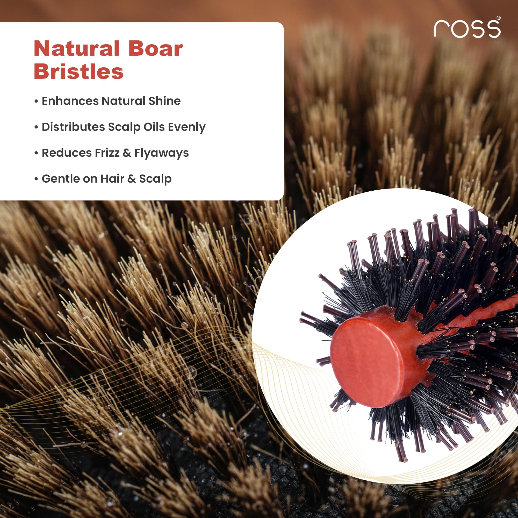 Ross Round Hair Brush with Natural Boar Bristles & Nylon Pins | Professional Blow Dry Styling Brush for Volume, Curl & Shine | Frizz Control | Wooden Handle | For Men & Women 1