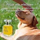 Ver la foto 5