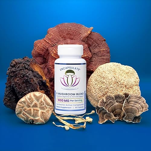 Miniatura 8 de ENCAPSULATE 6 Mezcla de hongos 1000 mg - Reishi, Chaga, cola de pavo, cordyceps, melena de león y extracto de hongo Shiitake 11 - Suplemento de