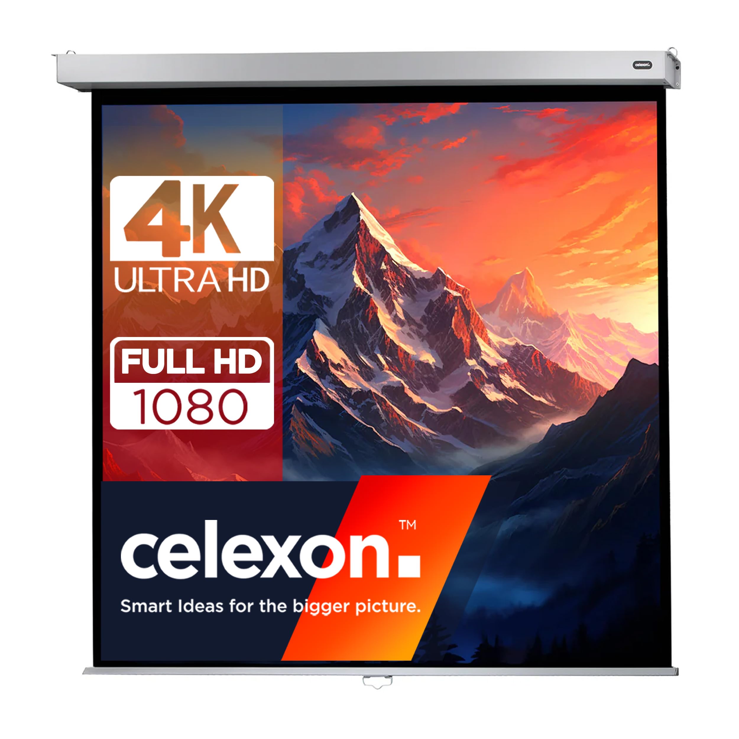 Écran de projection extensible manuellement 120 pouces celexon Pro Plus 1:1 - 8