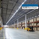 6-Pack 40W Liable LED Lumières de magasinage - 4FT 3300lm Installation d'utilité [240W Équivalent] - 6500K Lumière du jour, suspension/montage de surface pour garage - Comprend le cordon d'alimentation