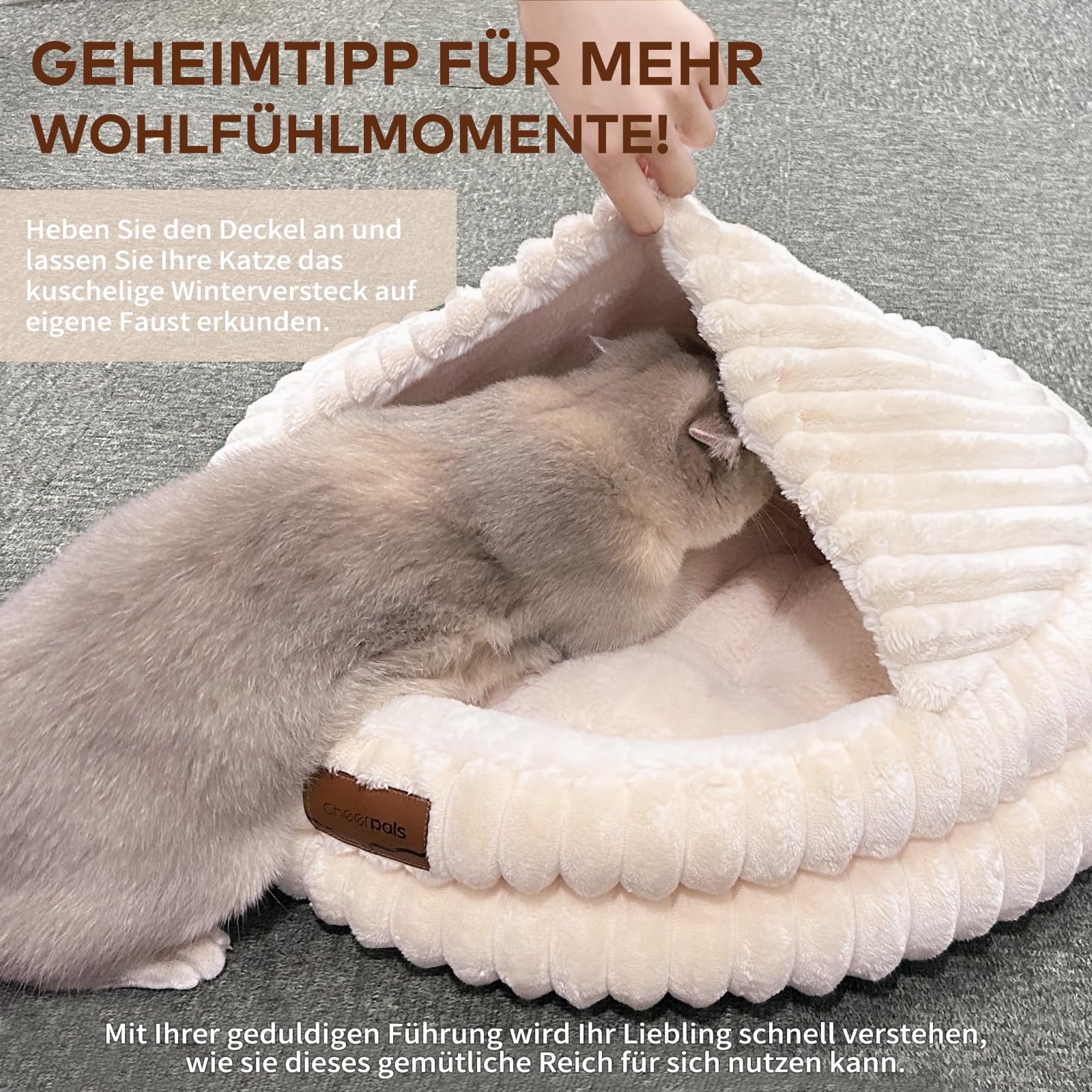 CheerPals Letto per gatti, B00901