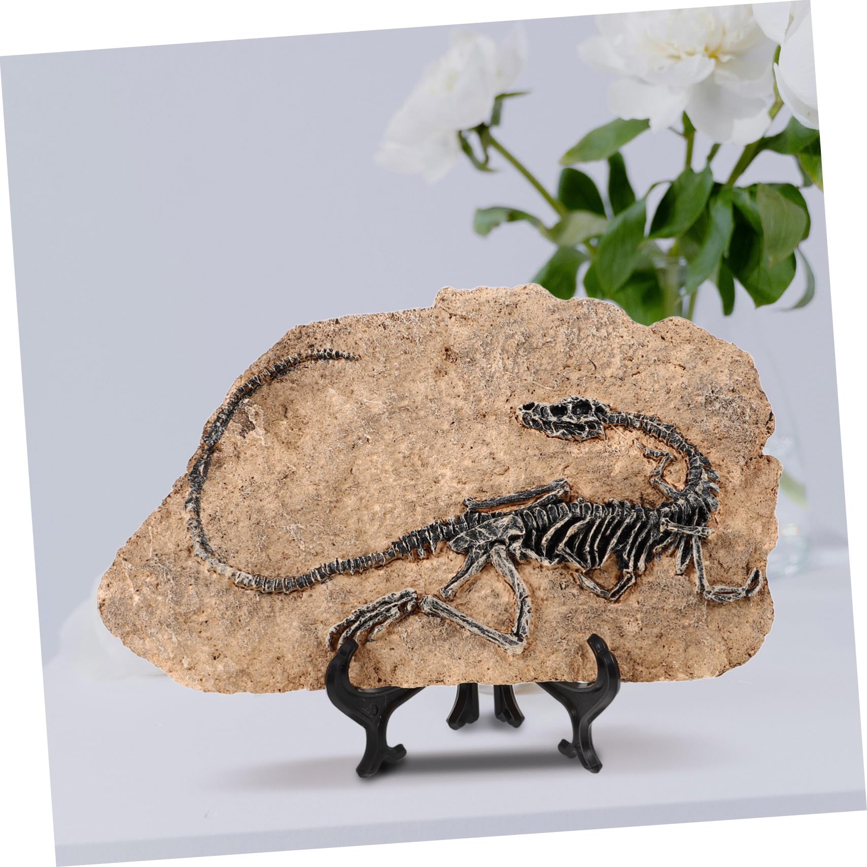 Garneck Dinosauro in Resina Decorativo la Casa Fossile Realistico, Ornamento per Ufficio e Regalo Educativo per Ragazzo Ragazza e Insegnanti