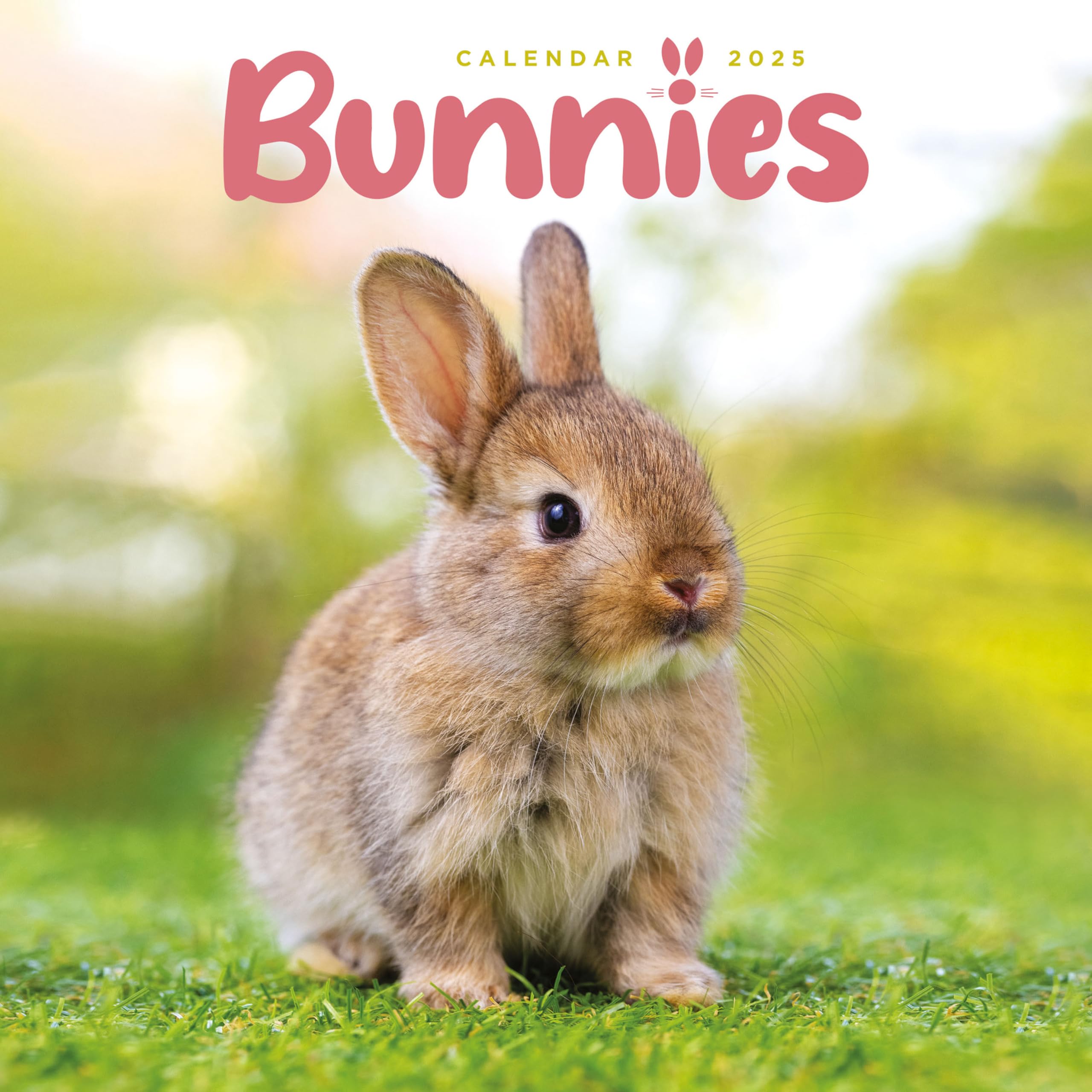 2025 Bunnies Mini calendar: Plastic Free Packaging