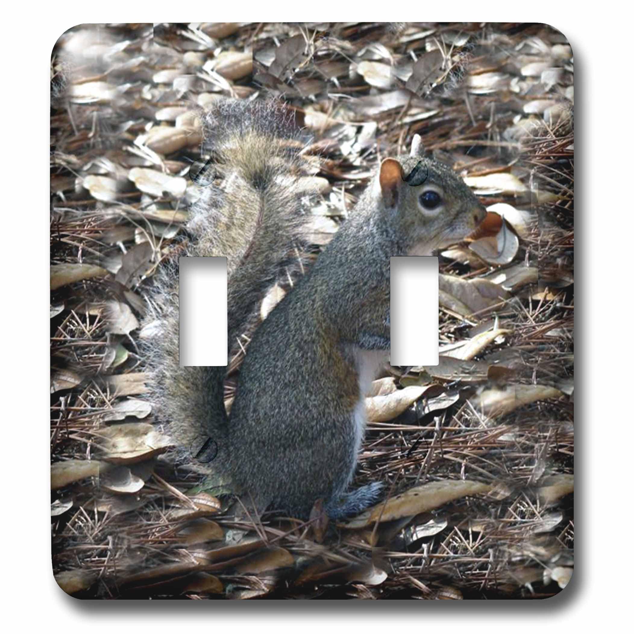 Interrupteur double 3dRose lsp_1016_2 écureuil gris pour déco