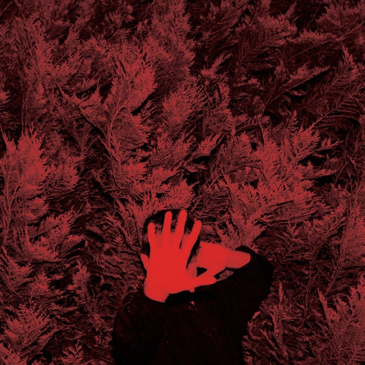 The Unborn Capitalist From Limbo [VINYL]