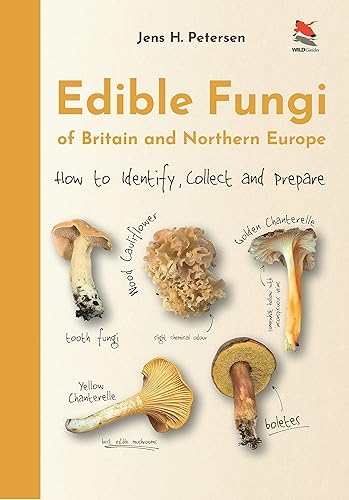 Edible Fungi of Britain and Northern Europe: How to Identify, Collect and Prepare (WILDGuides of Britain &amp; Europe, 49)