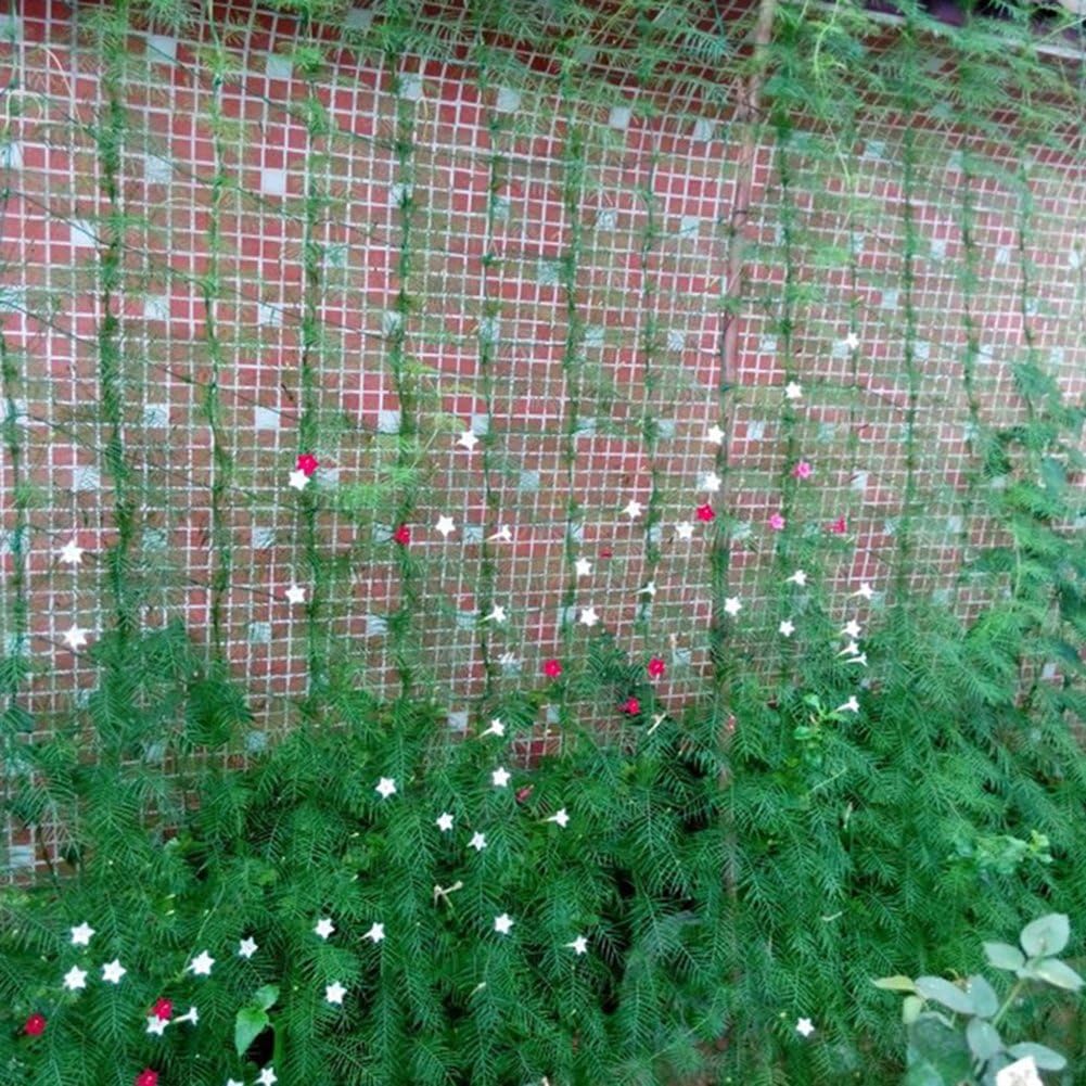 quanjucheer Plants Climbing Net,Garden Nylon Netting Trellis Net Vegetables Bean Grow Supporting Green