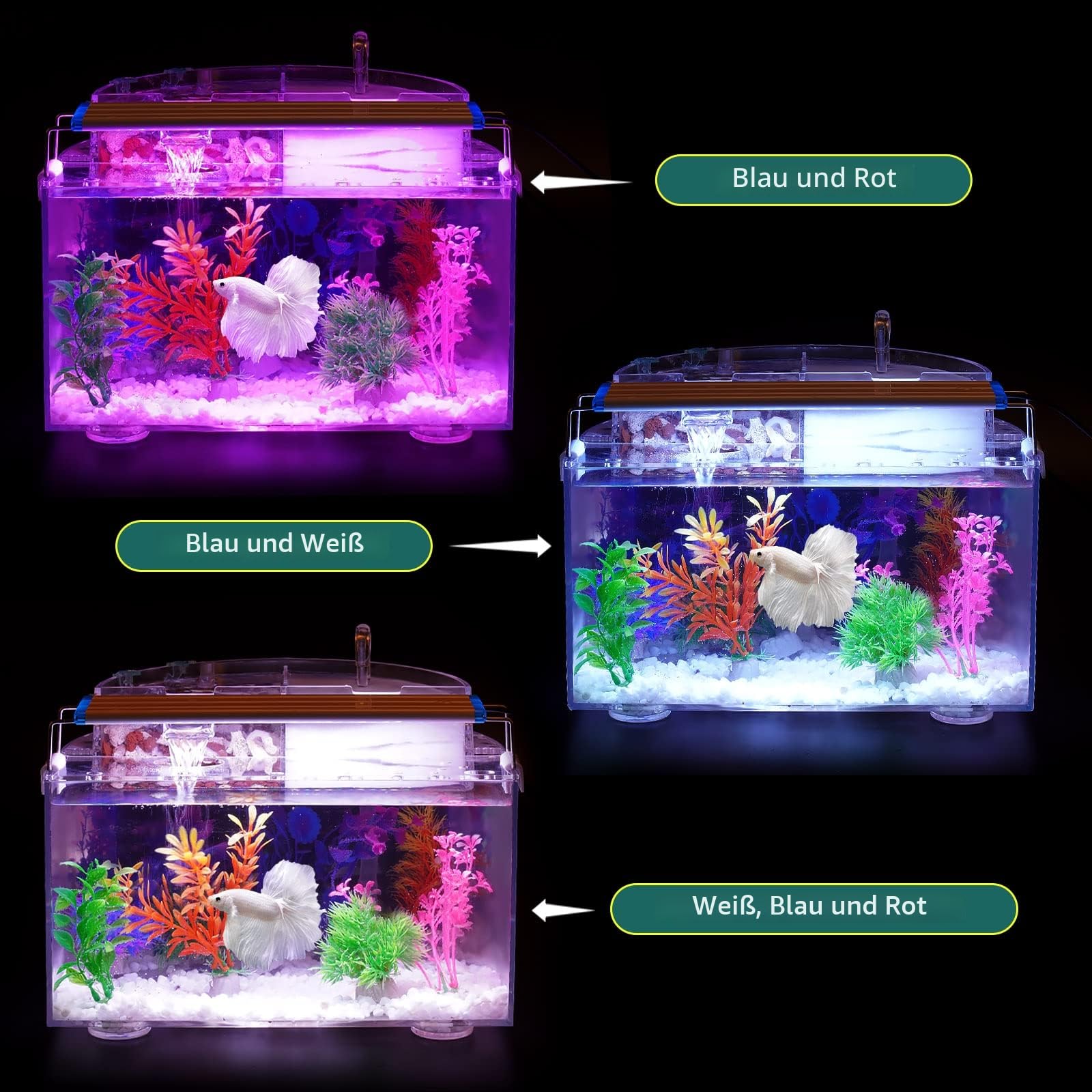 Kampffisch Aquarium Klein Komplettset, 10 L Aquarium Set Komplett mit LED- Beleuchtung, Filter, Heizung, Dekorationen und Zubehör – ideal für Hydrokultur-Anbausystem und Aquaponik