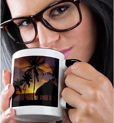 Miniatura 2 de 3dRose mug_89088_4 "Checca Lodge, Islamorada, Florida - US10 DPB0052 - Douglas Peebles" Taza de dos tonos, negroblanco, 11 onzas