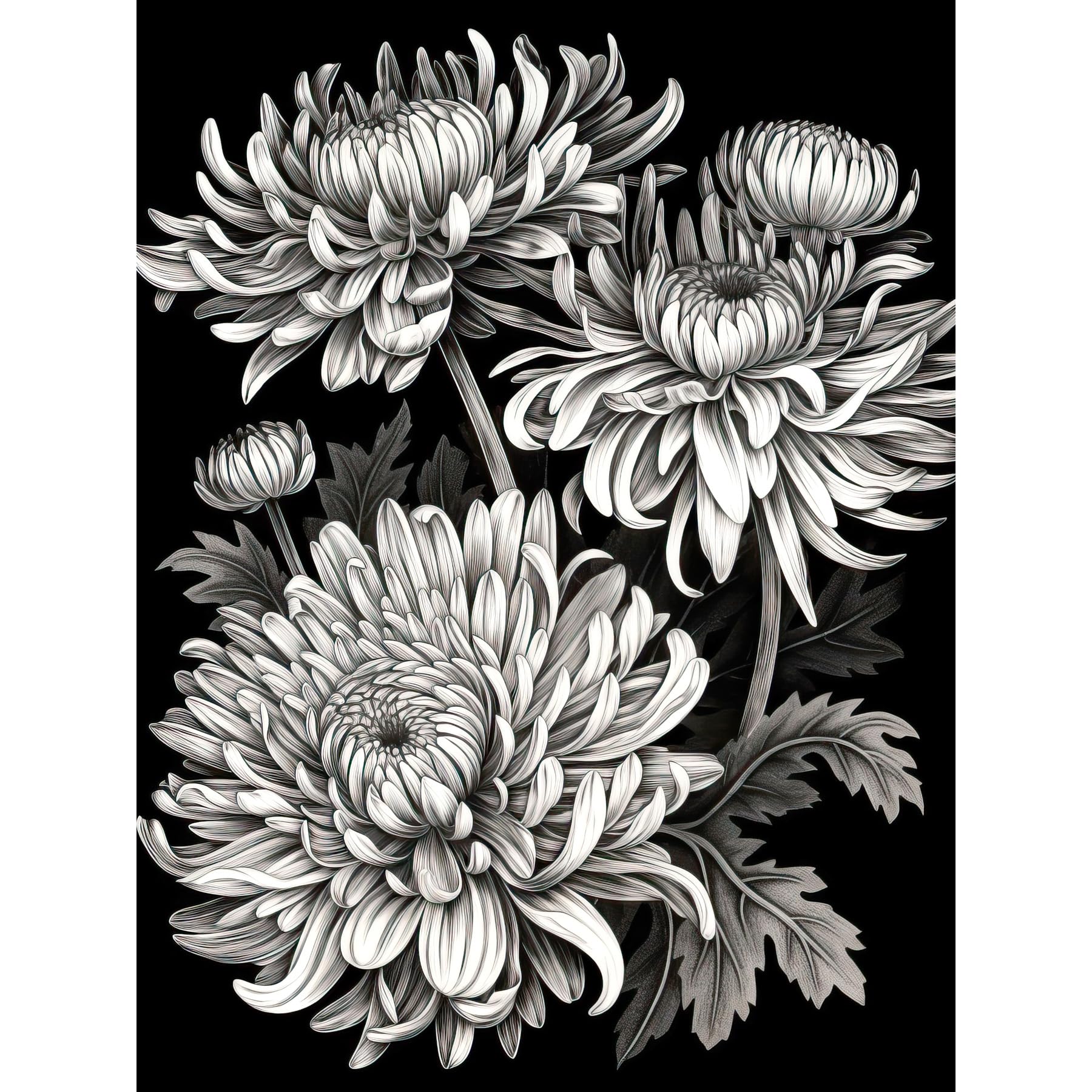 Artery8 Detailed Black and White Chrysanthemum Flowers Extra Large XL Wall Art Poster Print
