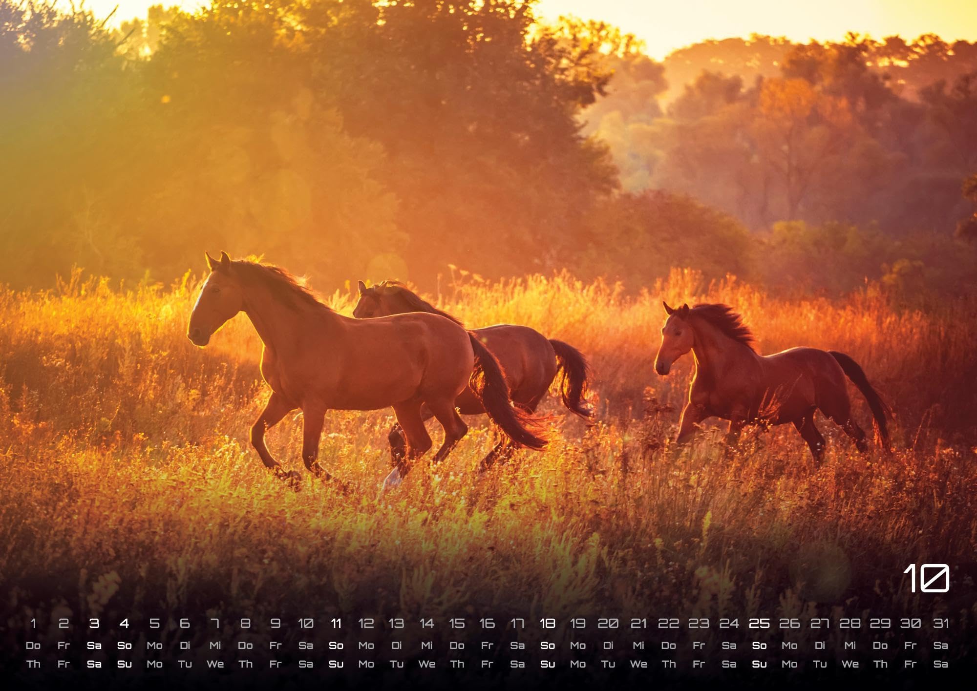 Pferdegeflüster - Der Pferdekalender - 2026 - Kalender DIN A2: Der Wandkalender mit den schönsten Pferde-Motiven für das Jahr 2026 im extragroßen Format DIN A2 (ca. 60 x 42 cm)!
