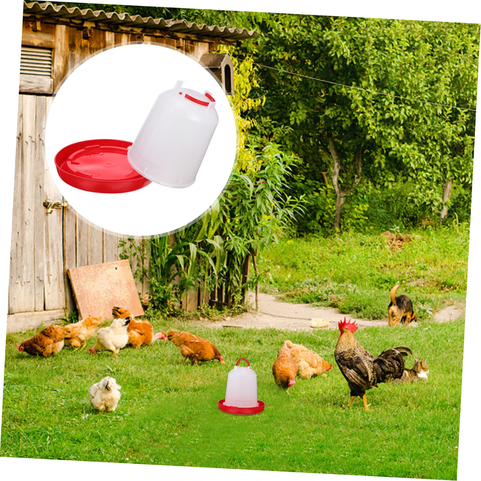 Secchio Abbeveratoio Automatico per Polli in Plastica Pp | 1 Pezzo, Ricarica Automatica, Uso Esterno in Allevamento, Design Creativo Casuale Stile Casuale