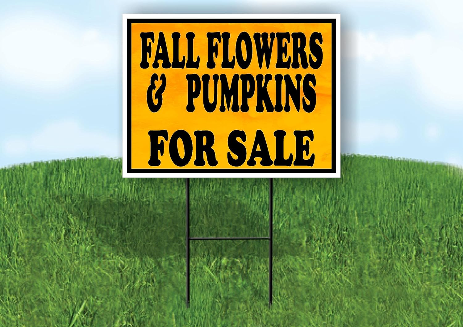 FALL FLOWERS PUMPKINS FOR SALE ORANGE - Double Sided Yard Sign ROAD SIGN with Stand