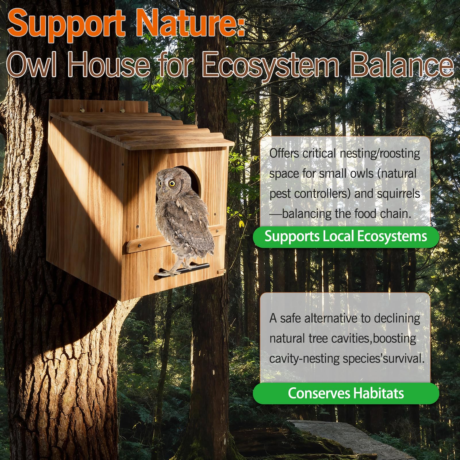 Grande casetta per esterni, 43,2 x 31,8 x 31,8 cm, in legno, per esterni, nido per uccelli, habitat per urlo, boreale, sega - Whet & Elf Owls