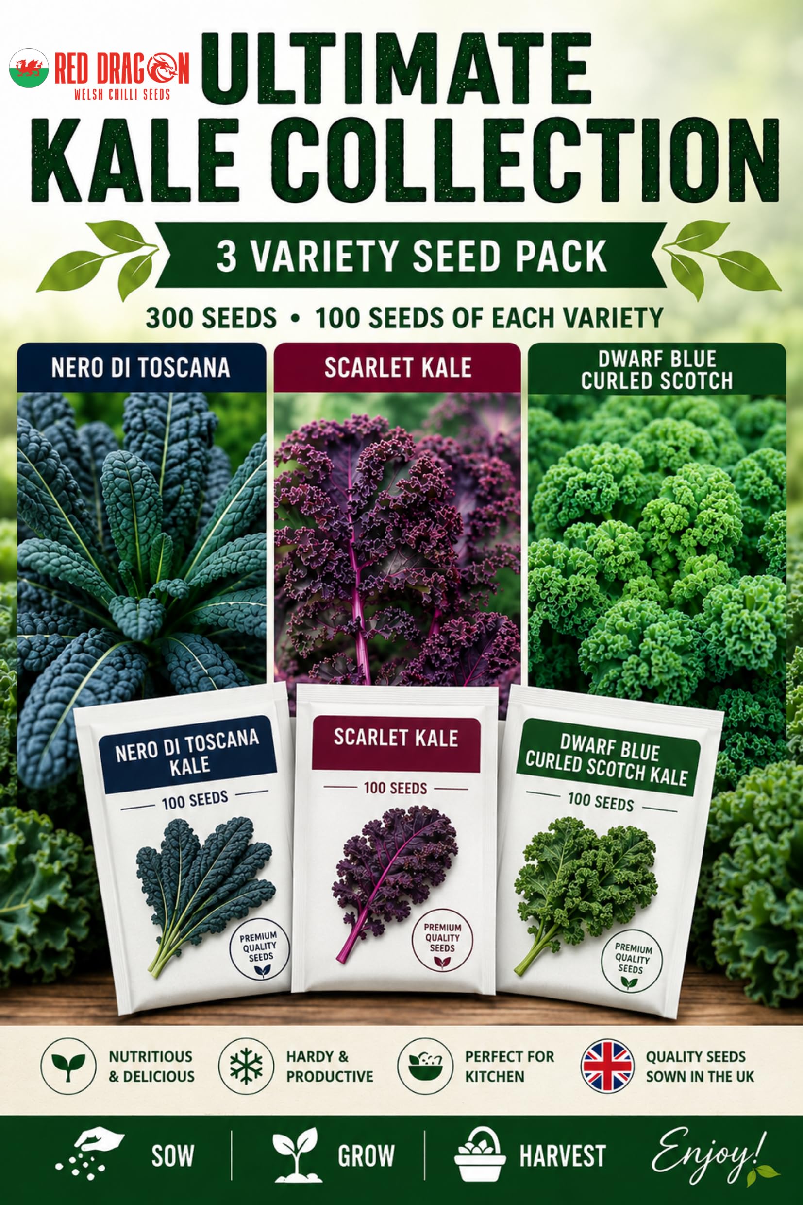 Ultimate Kale Collection Seeds – 3 Premium Varieties in Individual Sachets – 300 Fresh Seeds (100 of Each Variety) – Nero di Toscana, Scarlet & Dwarf Blue Curled Scotch