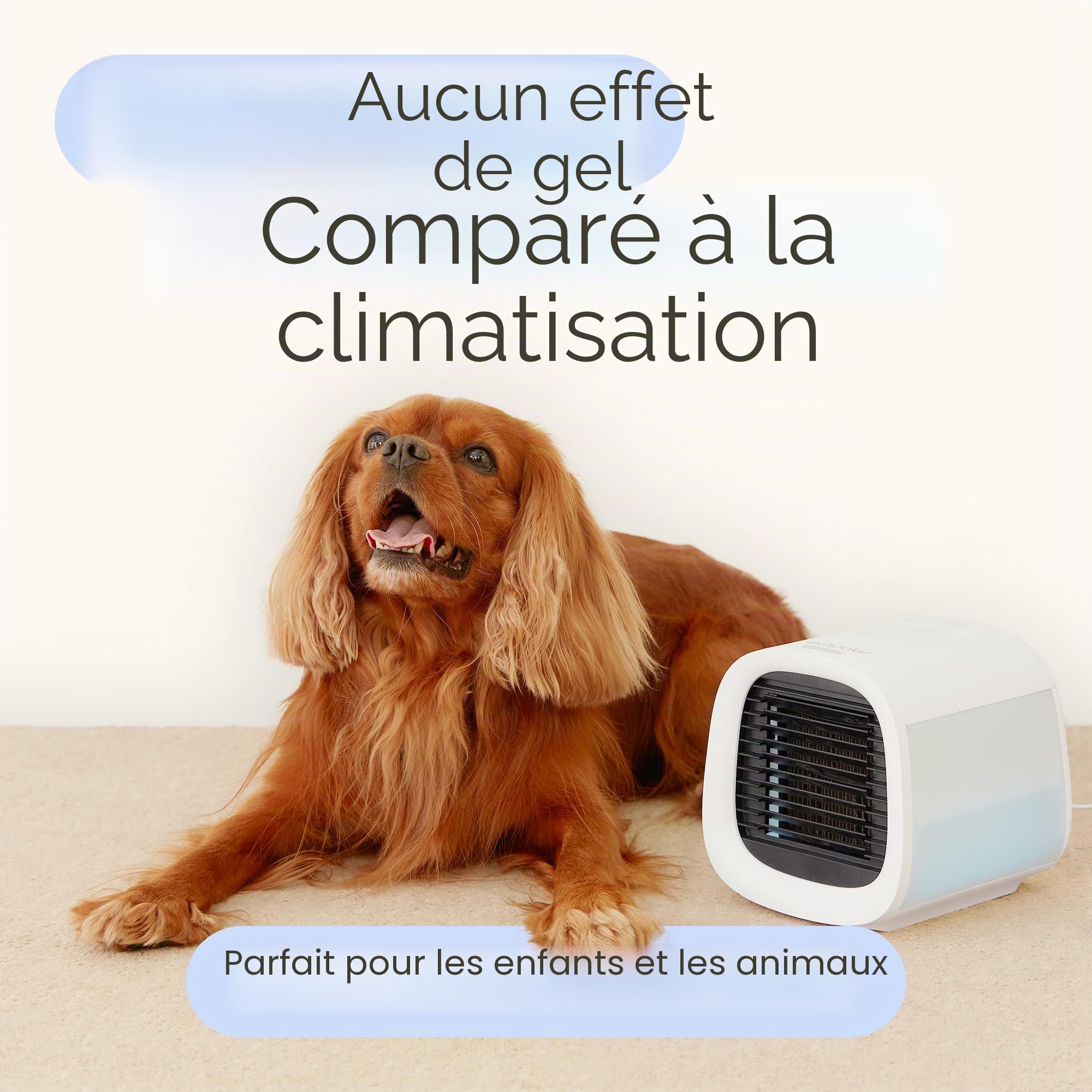 Evapolar evaCHILL Rafraichisseur d’Air Humidificateur Personnel à Évaporation - Ventilateur Portable Silencieux pour Maison, Bureau, Voyage - Connectique USB et Lumière LED Intégrée - Gris Small