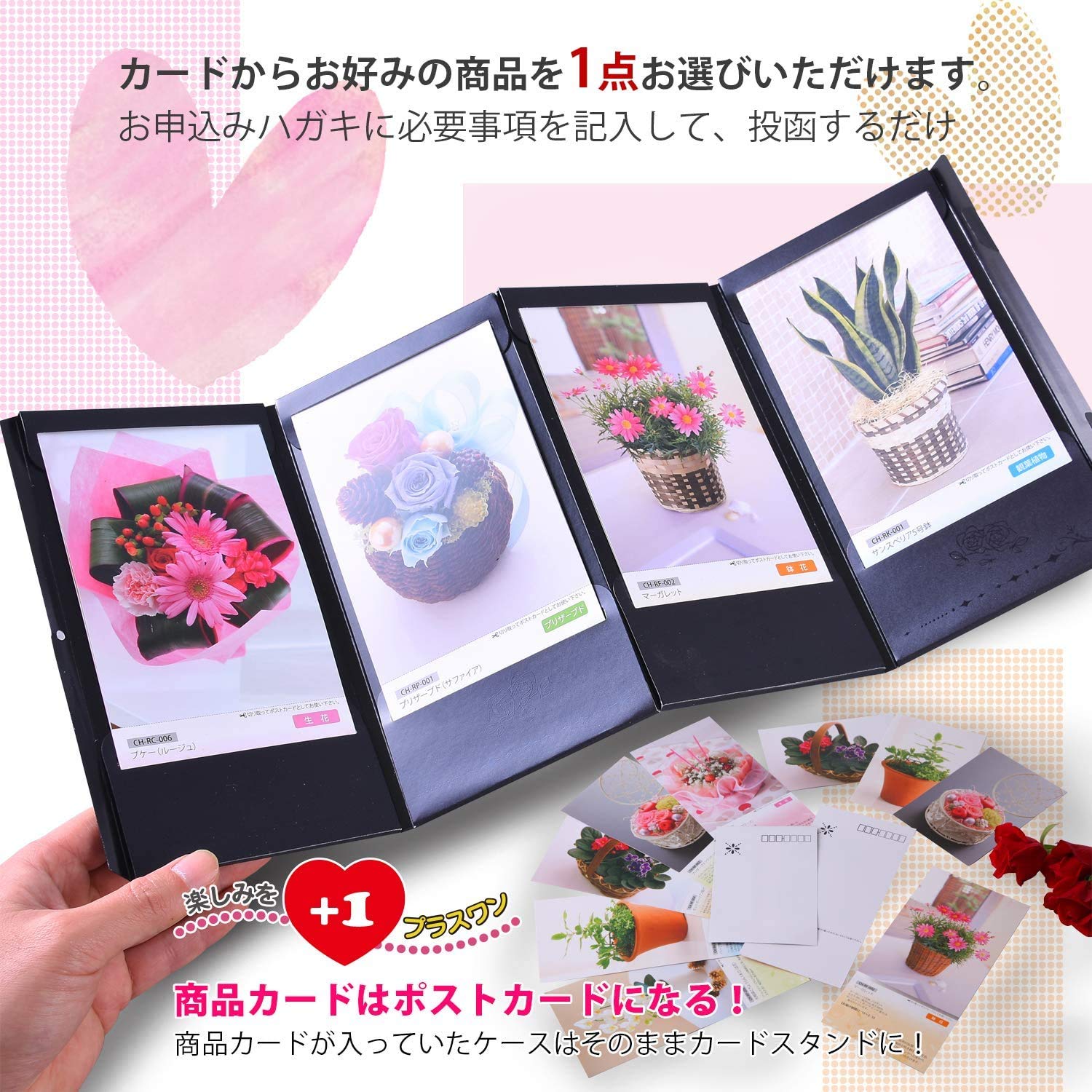 Amazon｜花のギフト社 カタログギフト フラワー チョイスカード