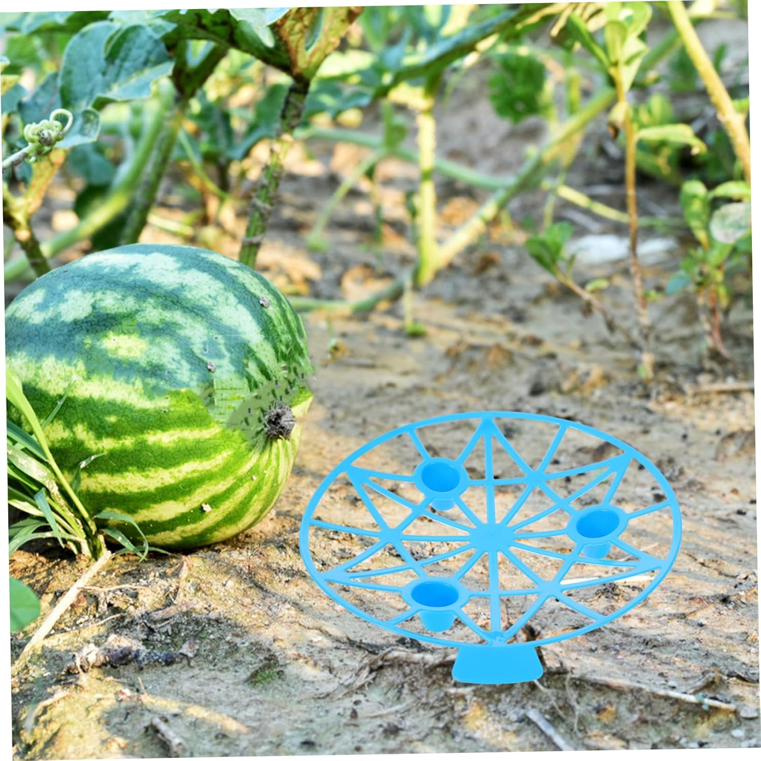 POPETPOP 30pcs Watermelon Growing Frame Racks Plant Supports Melon Holder Tray for Garden