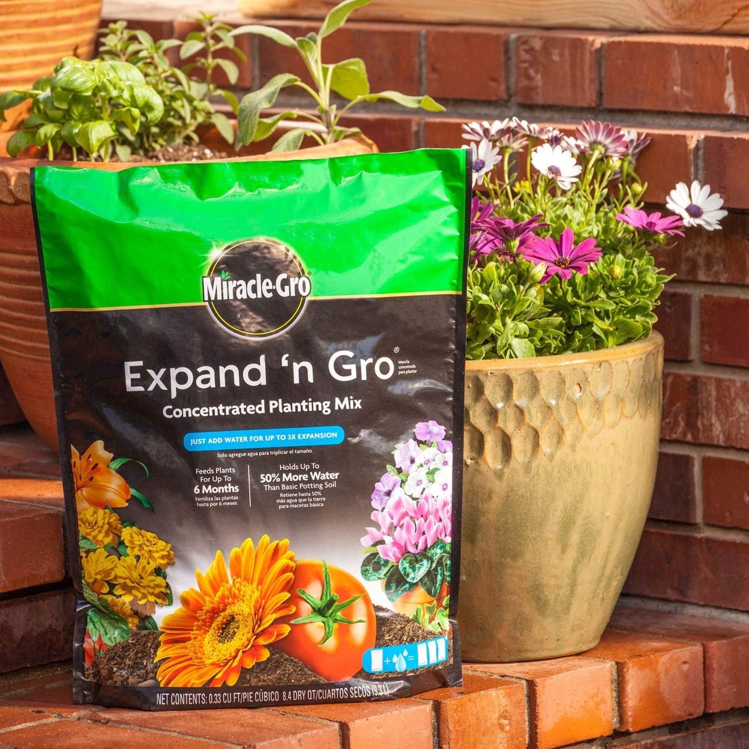 Miracle-Gro Expand 'N Gro Concentrated Planting Mix, .67 cu. ft. : Patio, Lawn & Garden