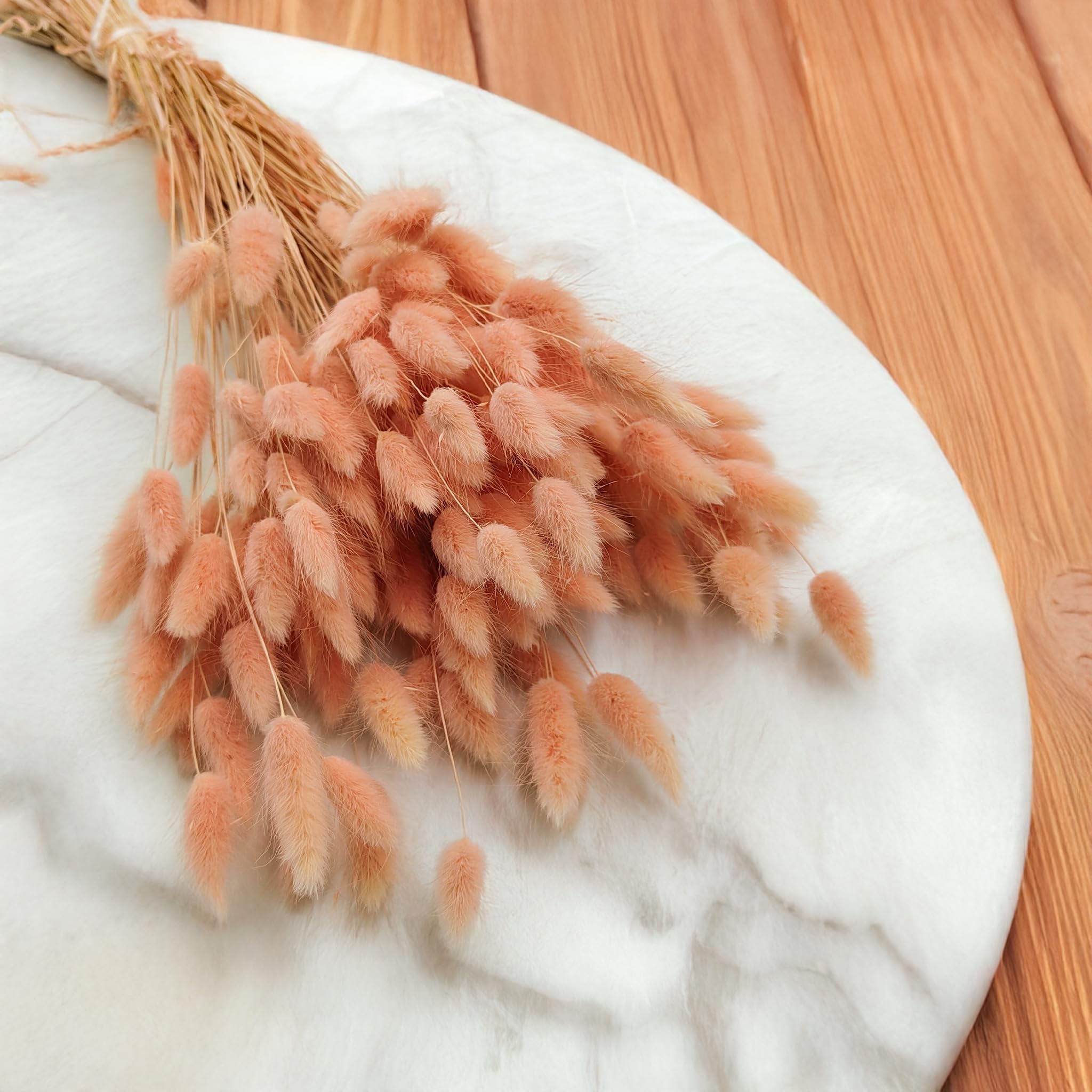 Enchanted Dekogras Getrocknetes Gras Ziergras Hasenschwänze Lagurus Ovatus Samtgras Häschen-Schwanzgras Trockenblumen Natürlich Boho 120 - 150 Stück 100 g Lachsrosa