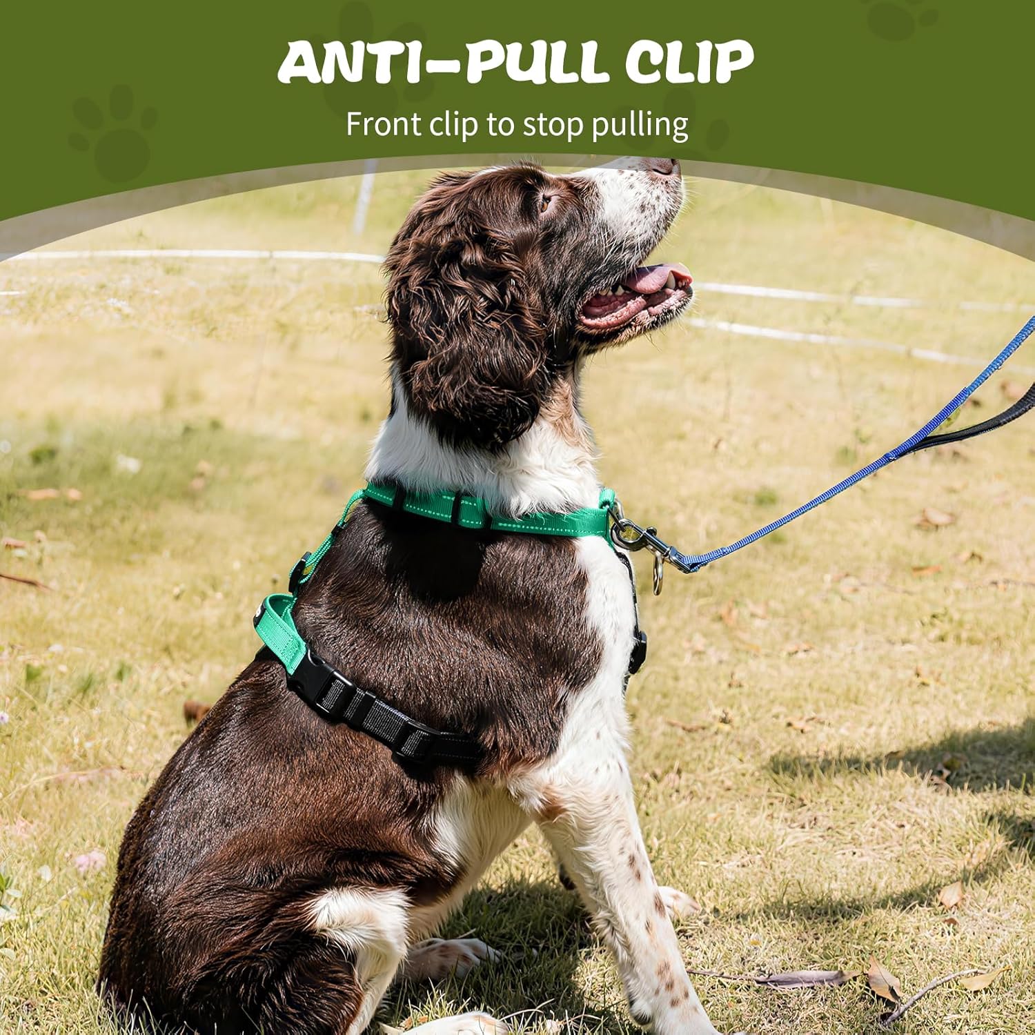 Dog Harness,Adjustable No Pull Dog Harness,Y-Shaped Design,Buckle-Neck Balance Harness with Reflective, Ideal for Dog Training Hiking, Easy Walk Harness,Durable High-Tensile Nylon Aqua Green-M