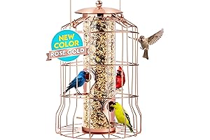 Gray Bunny Squirrel Proof Bird Feeder for Outdoors