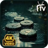 雨音スクリーンセーバー - 本物の雨と自然の音