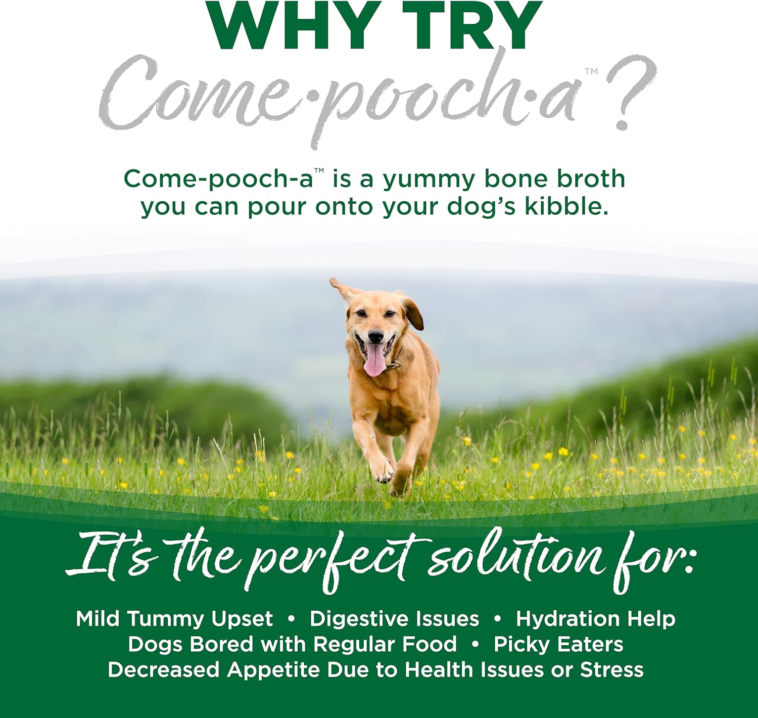 NutriSource Come-Pooch-A Turkey Bone Broth for Dog Kibble 12 Ounce (Pack of 2)