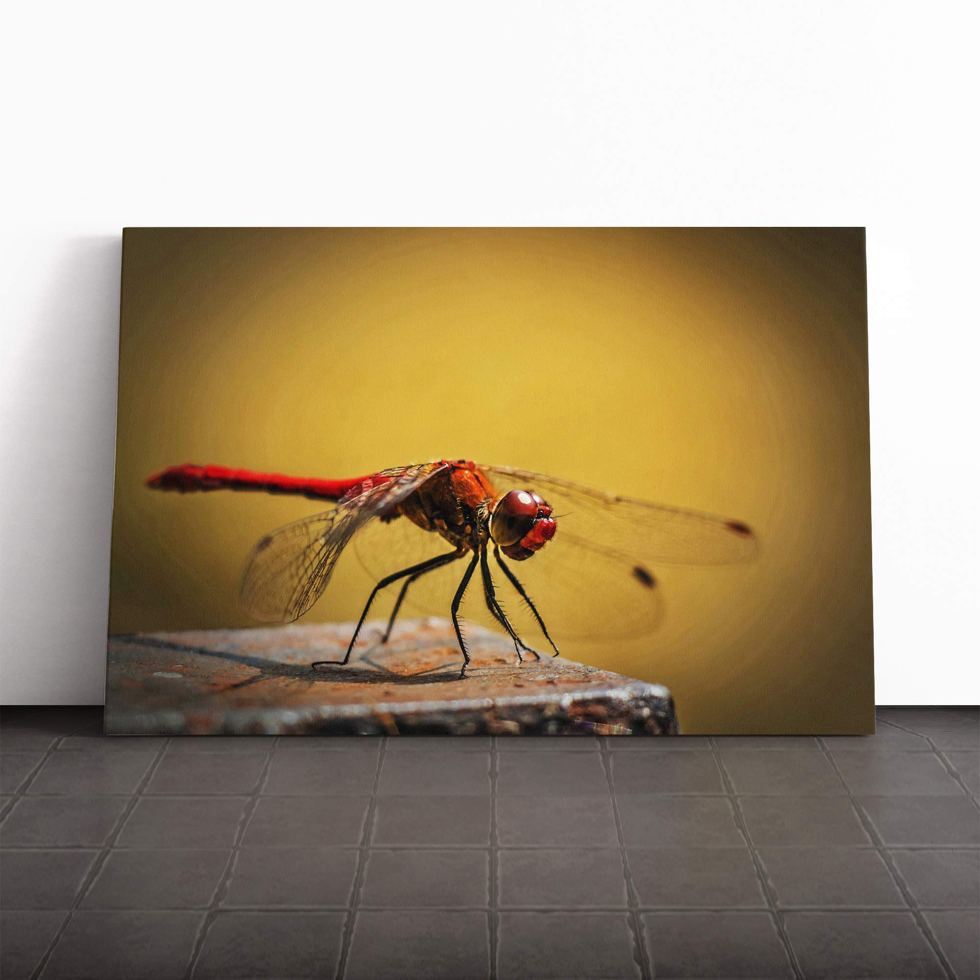 Dragonfly Insect (3) Canvas Print | Gallery Wrapped 30mm Frame Wall Art | 30x20 inches | Ready to Hang | Modern Animals Picture | Living Room Bedroom Lounge Office
