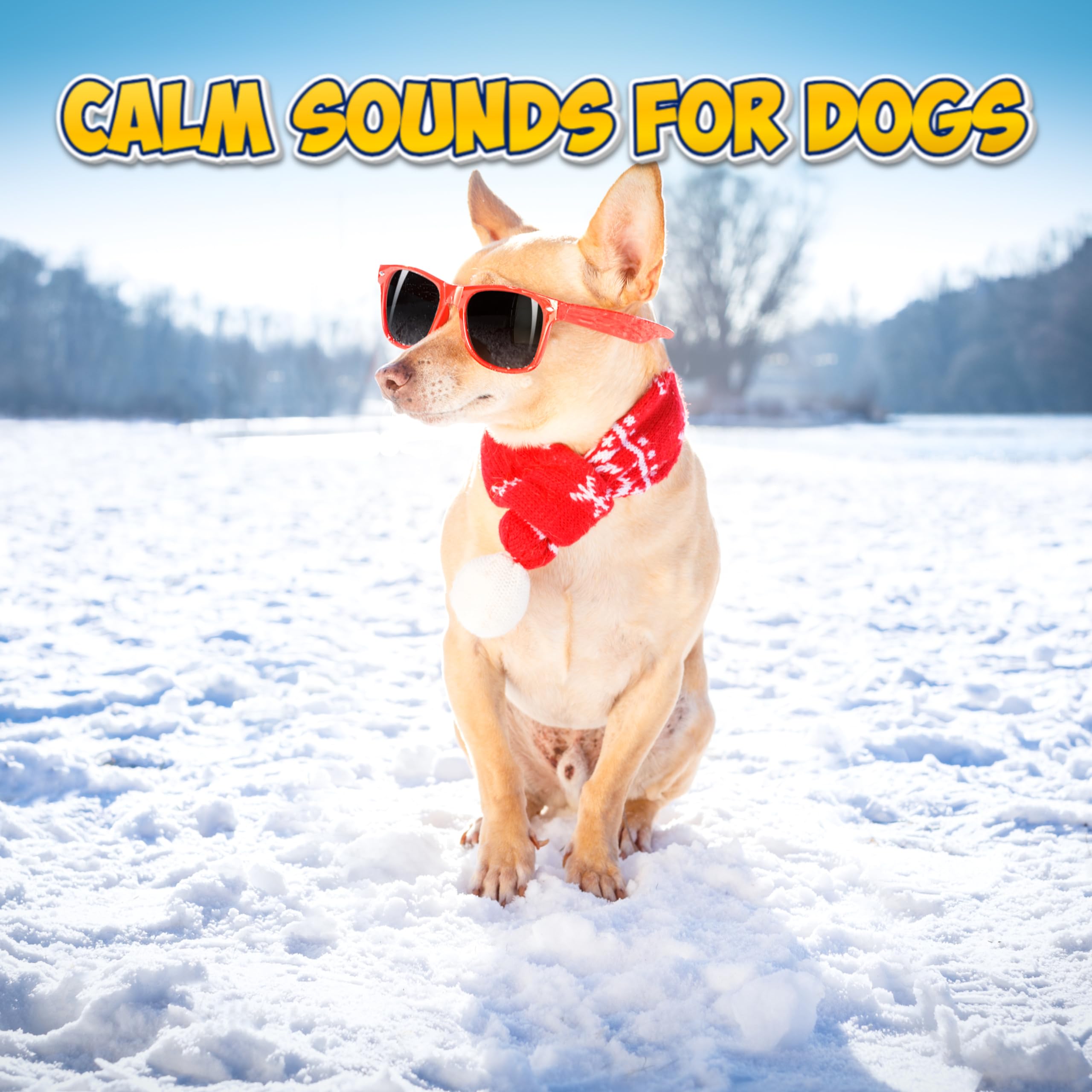Calm Sounds For Dogs